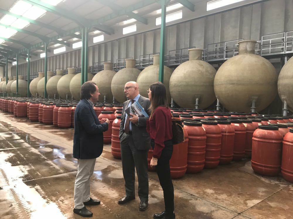 UdS_SN's tweet photo. @gaearmao a #Castelvetrano insieme a Silvia Calvanico per visitare l'eccellenza dell'azienda olivicola #Curaba. #DifenderemoLaSicilia https://t.co/lZIimls1Un