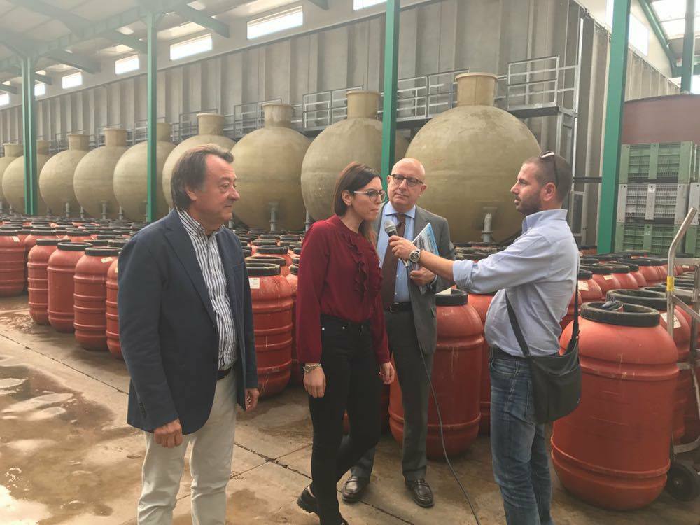 UdS_SN's tweet photo. @gaearmao a #Castelvetrano insieme a Silvia Calvanico per visitare l'eccellenza dell'azienda olivicola #Curaba. #DifenderemoLaSicilia https://t.co/lZIimls1Un