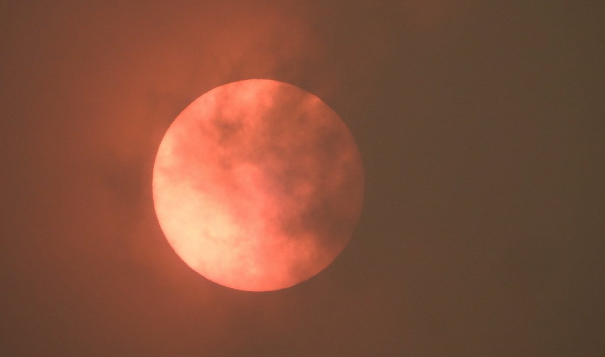 BhamUpdates's tweet photo. A plume of dust raised from the Sahara is passing over the United Kingdom giving us a sepia sky, redish sun and reduced light levels. https://t.co/vWVVfPc6KR