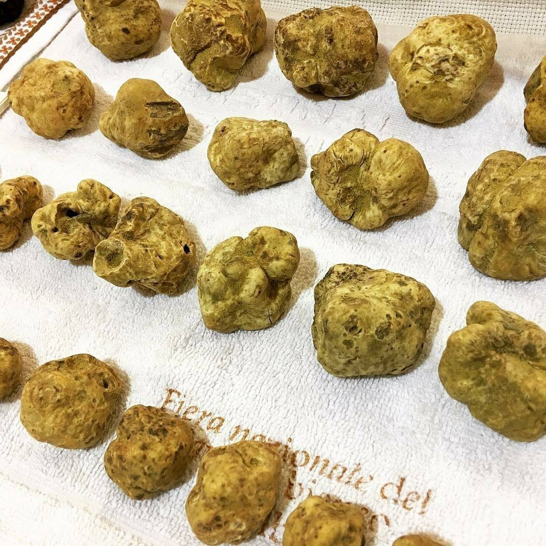Saturday 21 OCTOBER (h 11:00) our Federico will delight you with dishes full of flavors and scents #locandadelpilone fieradeltartufo.org/2017/en/evento…