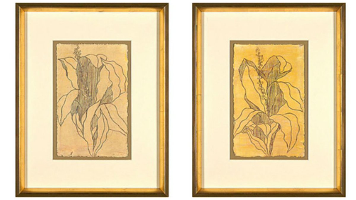 aTailoredSpace's tweet photo. #ArtMonday! Delicate flower etchings from @SoicherMarin in our #BigGirlLivingRoom. #interiordesign #art https://t.co/cYM1I88tTh https://t.co/gruzejcr0W
