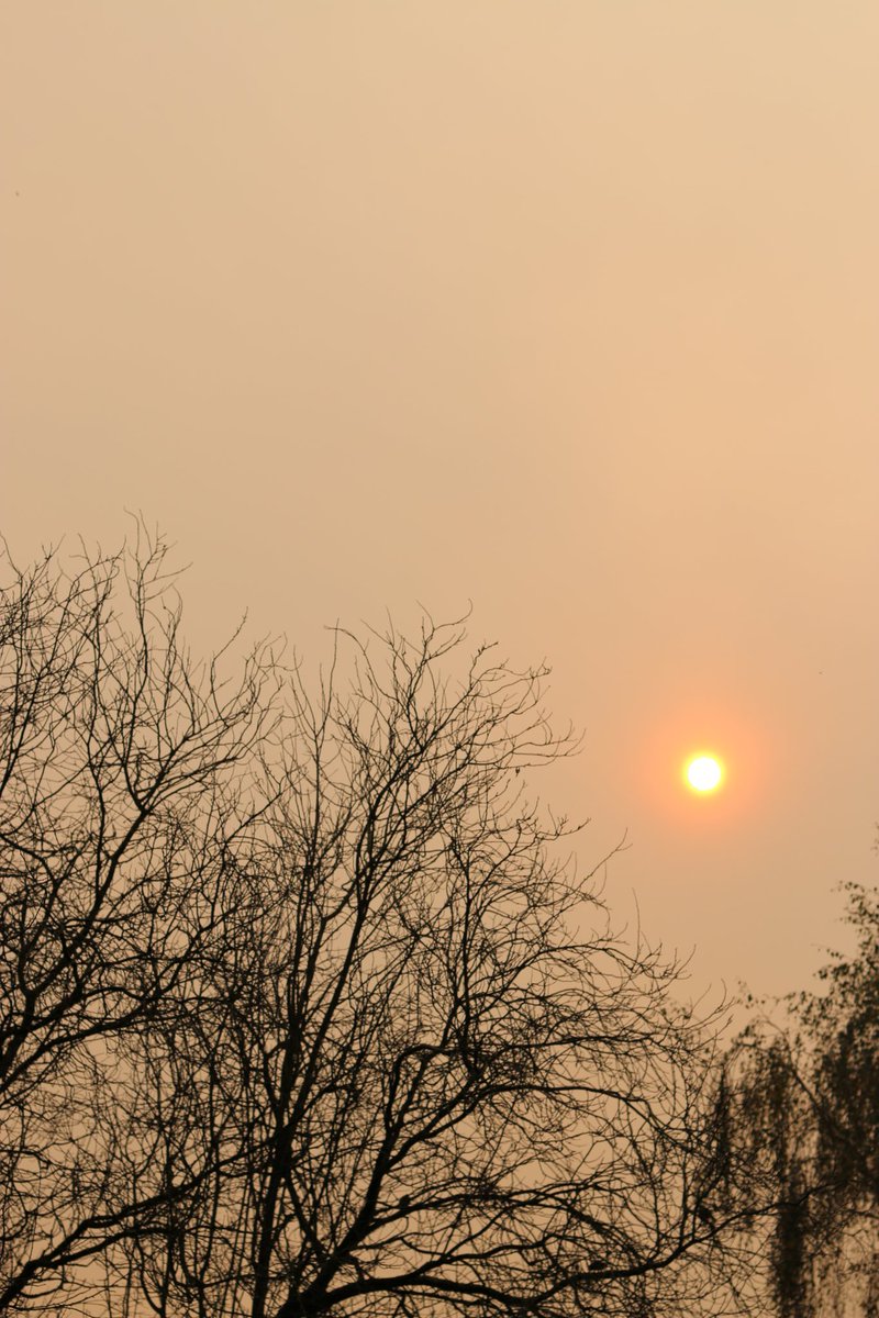 Voir l'image sur Twitter