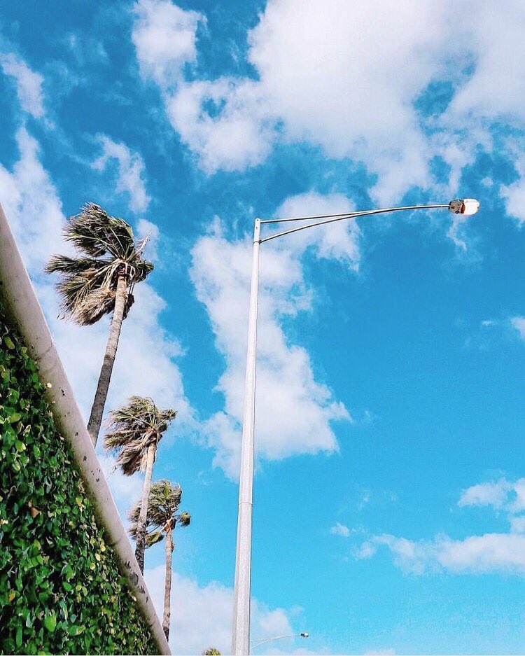 havanclothing's tweet photo. Moving with the wind https://t.co/4tCG74yFRh
