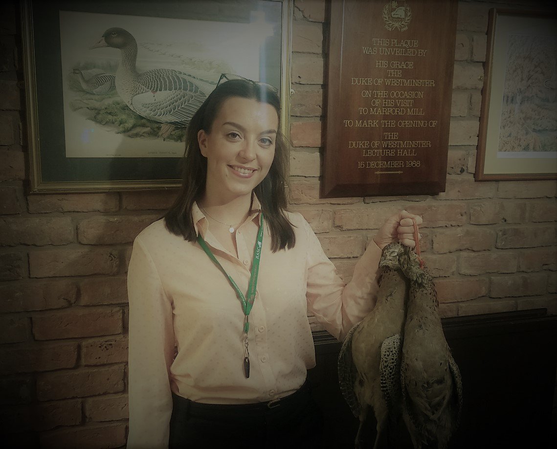BASCnews's tweet photo. Hannah is very happy with her #PresentOfPheasant here at BASC HQ, she's quite the cook so we're hoping for an invite to dinner! #takeabrace https://t.co/DsvHYxSJhF