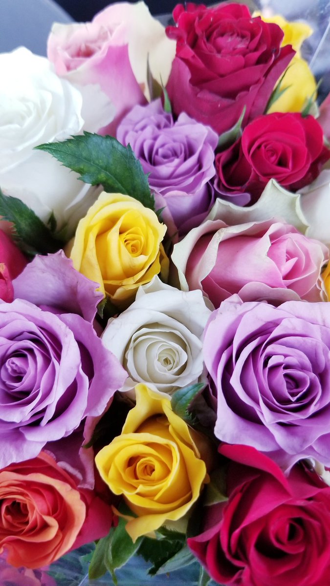 Sherryp143's tweet photo. Such beautiful roses just couldn't help  myself had to capture  the beauty https://t.co/yOEdyOdOqK
