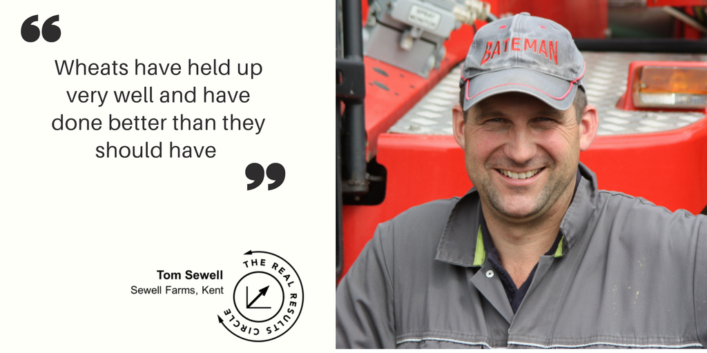BASFcropUK's tweet image. Here’s how #RealResultsCircle farmer @tandssewell’s crop held up this year, was yours similar? Visit his profile at basfrealresults.co.uk/real-results-5…