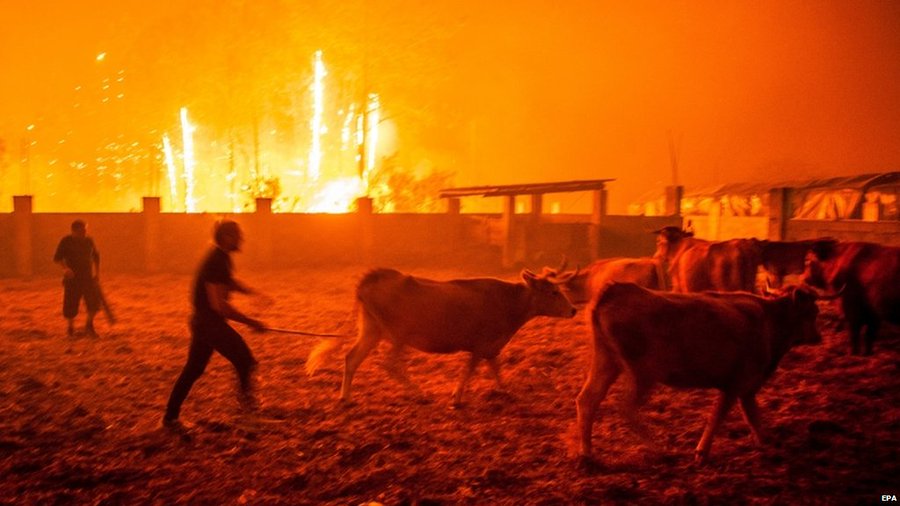 山火事で非常事態宣言 ポルトガルのサッカースタジアムにも火の手が