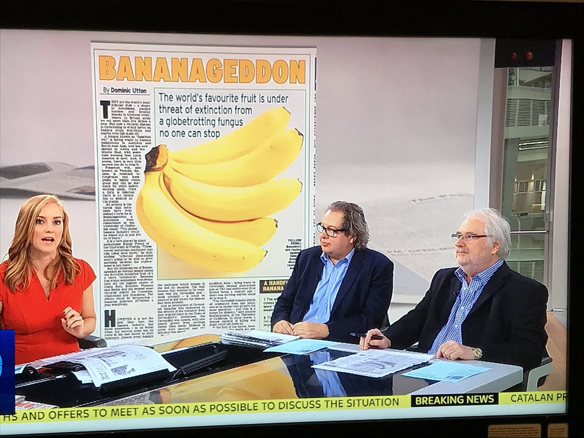 PorkyTheLegend's tweet photo. Lord Porky @mikeparry8 looking resplendent on tv this morning. Covered all the major issues including the forth coming banana shortage #VPVO https://t.co/UwifqadGuN