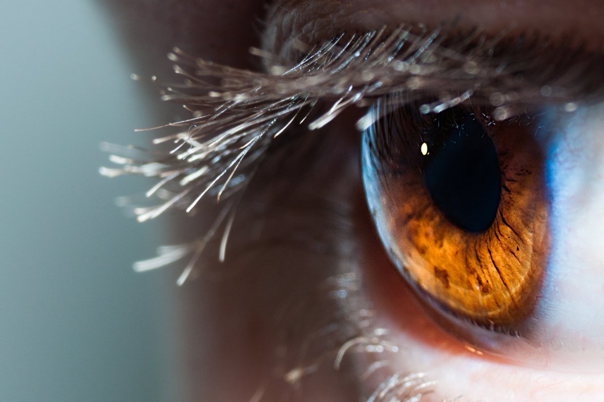 your_eyes_UK's tweet photo. EYE FACT: Eye problems from diabetes are the most common cause of blindness in people of working age. https://t.co/JUsQW7nekS #CollegeOptom https://t.co/JFEK6koJxh