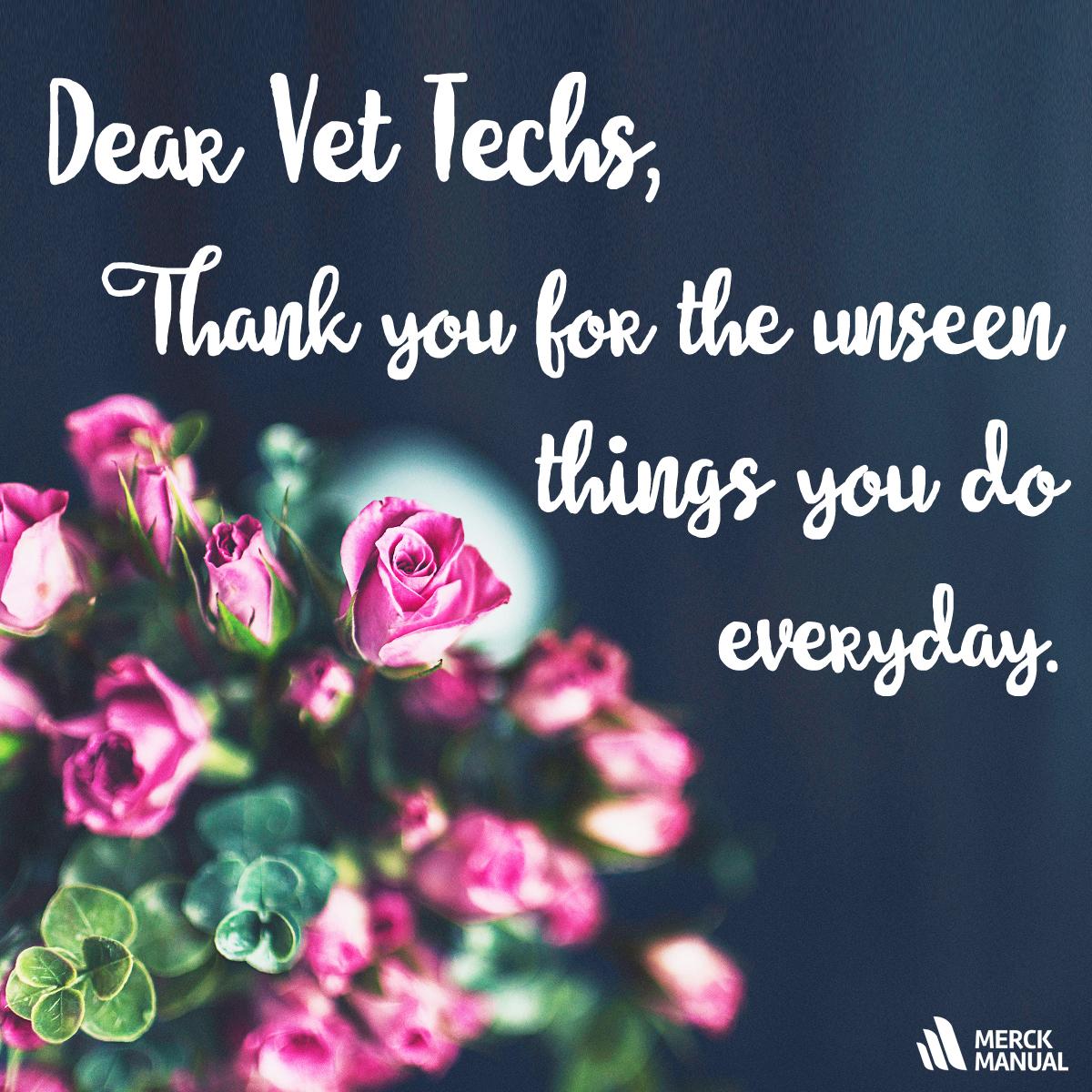 Merck Vet Manual On Twitter Rt To Thank A Vet Tech Or Vet Nurse
