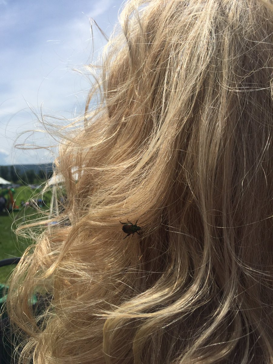clastuvka's tweet photo. @Saige624 does this 🐜 you?  Lol it was in Angie's hair. https://t.co/B8qgwFr8Hg
