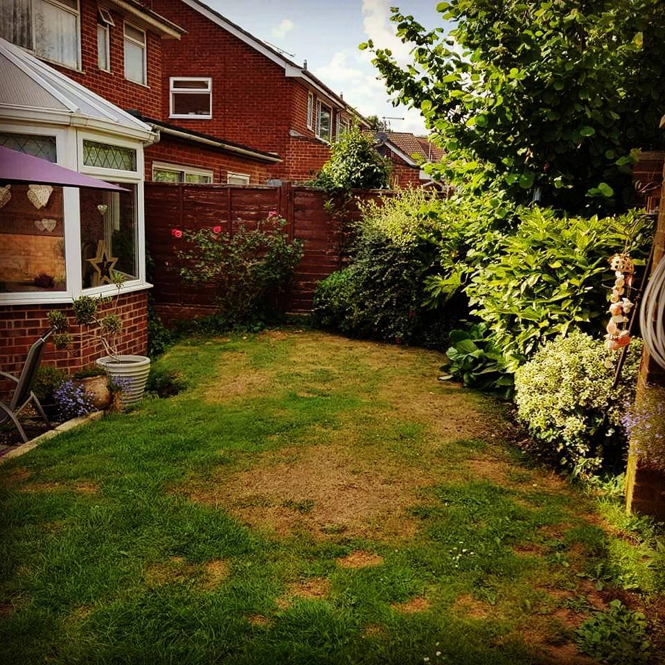 grass_direct's tweet photo. One of the main causes of grass browning is lack of food or water being provided in the soil, starving the roots! #GoArtificial #Grass #GD https://t.co/XLxGoOj83b