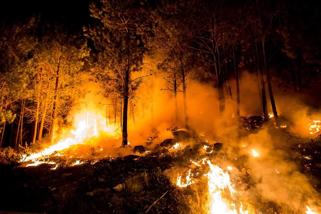ecorepublicano's tweet photo. Galicia no arde, la queman. #QUEIMANGALICIA https://t.co/xIyyG0Rs3T