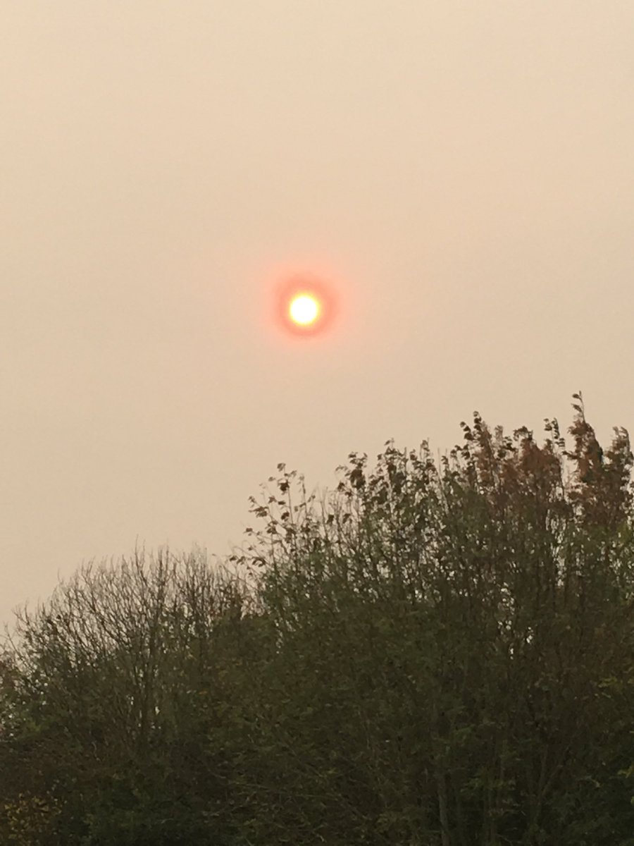 EcoWildCIC's tweet photo. An eerie weather day. https://t.co/RQK9pNBhs7