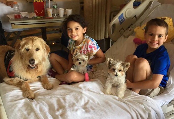 I love Mondays #metoo  I get to visit children in hospitals and make them smile #rescuedog #givingback