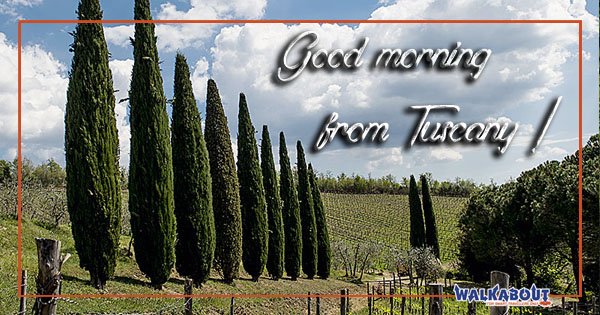 walkabouttour's tweet photo. #HappyMonday from a #chilly but ☀sunny☀ #Tuscany! #BestOfTuscany tour #florence https://t.co/a0GzXxbNbt