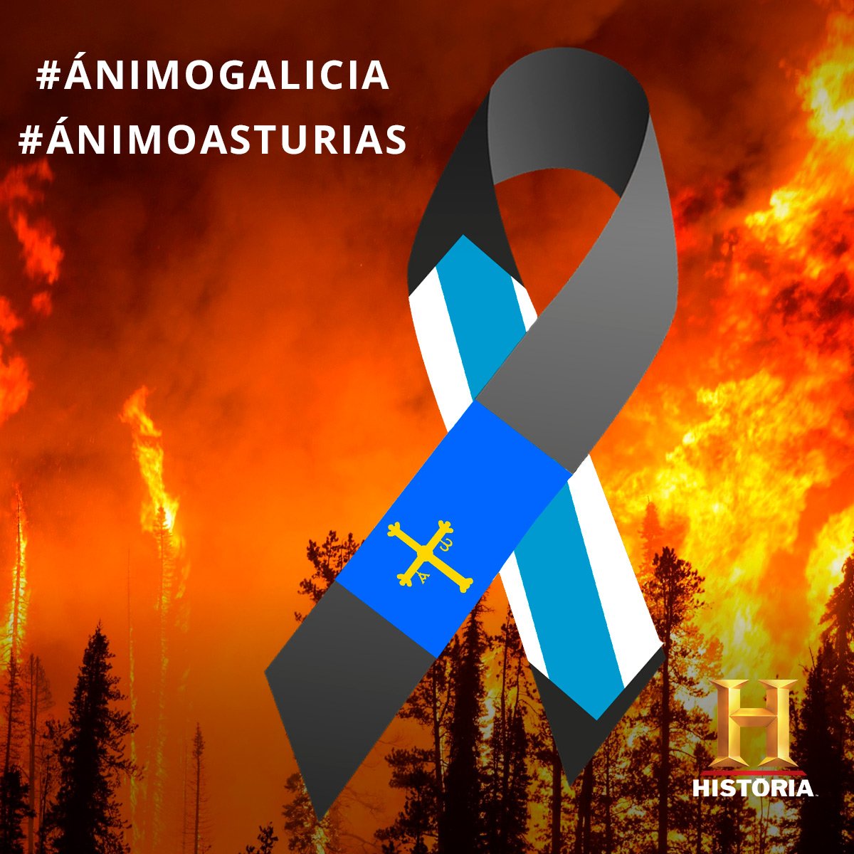 CanaldeHistoria's tweet photo. Desde Historia mandámos todo nuestro ánimo a Galicia y Asturias 💪💪

#ÁnimoGalicia #ÁnimoAsturias #QueimanGalicia #ArdeAsturies https://t.co/1WHCddli6O
