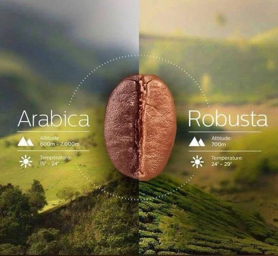 Coffee World (@coffee_world_gr) on Twitter photo 