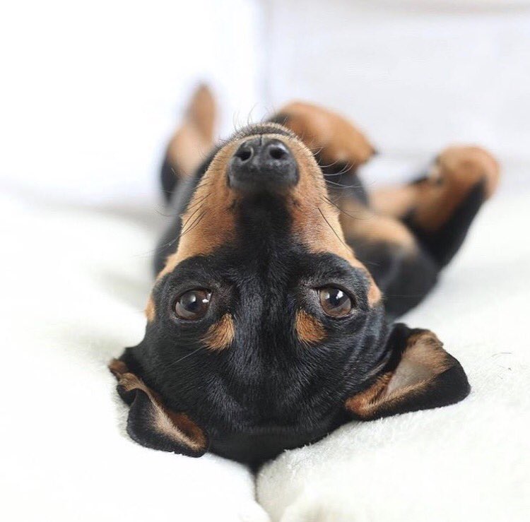 It's Monday and I could use a group hug 😟 ☕️ #InsertCoffeeToBegin instagram.com/p/BaTNMvuFI4s/