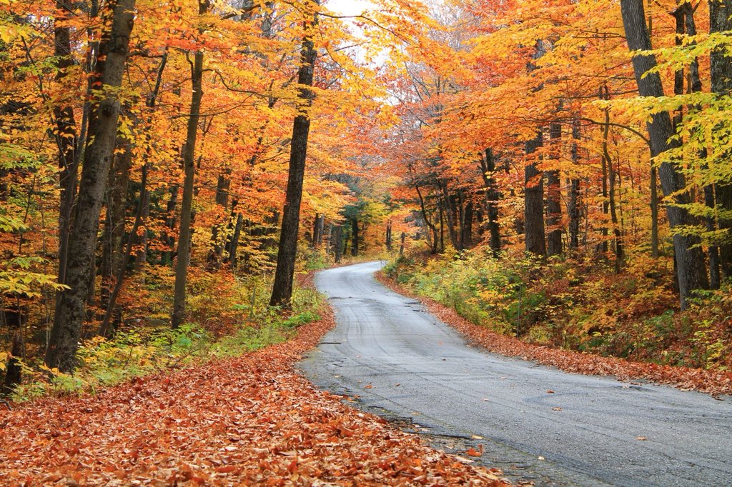 IH8TheEagles's tweet photo. @AP_Magazine #APpySunday backroads of New Hampshire, U.S in Autumn. https://t.co/mjuHJCoD8n
