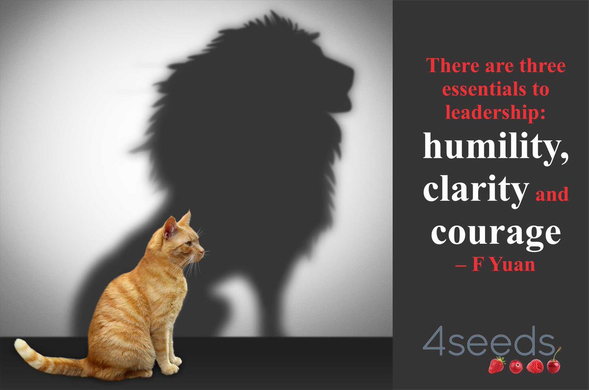4SeedsZA tweet picture