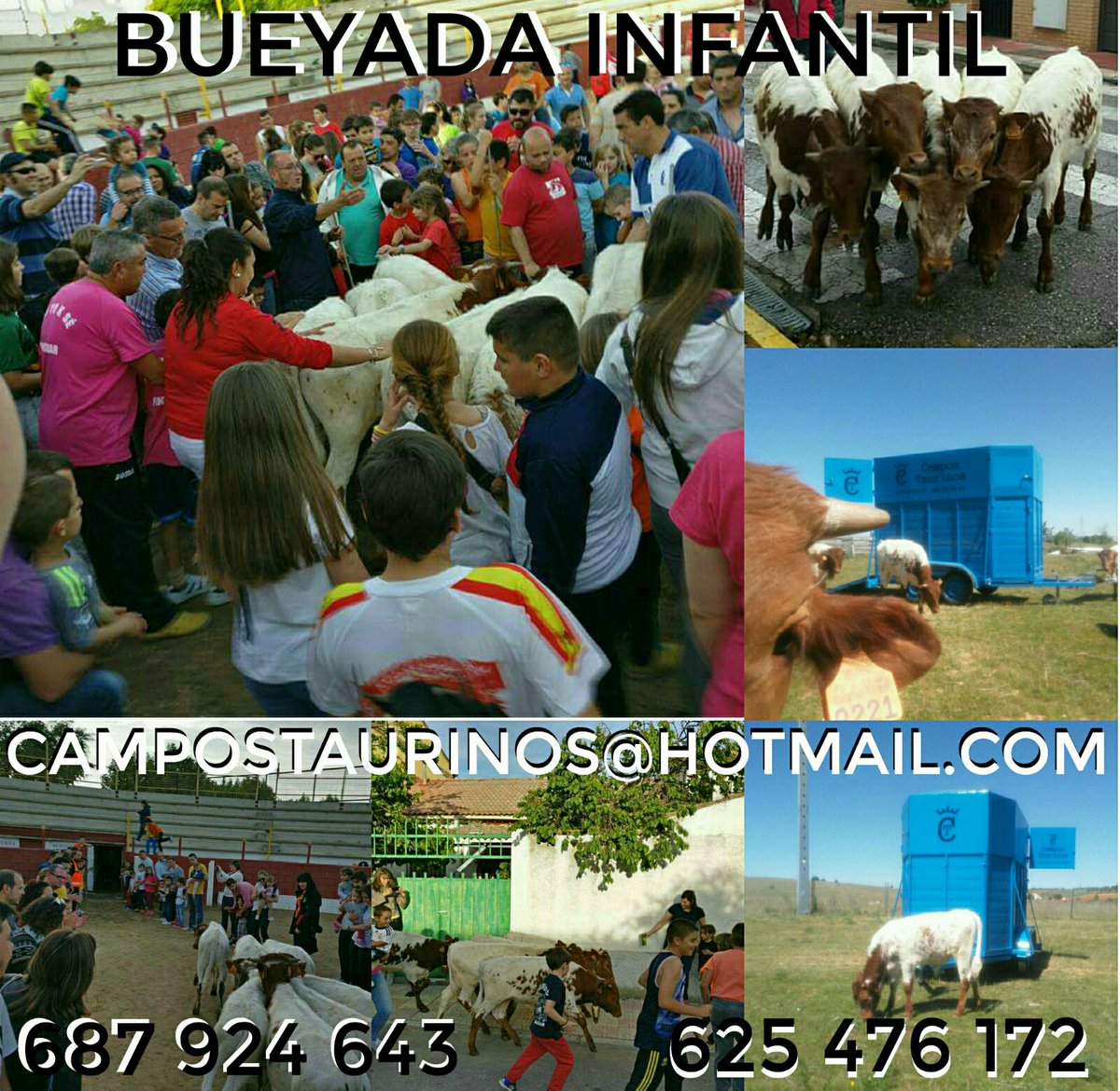 Tenemos a la chavalería revolucionada esperando con muchas ganas la bueyada de Campos Taurinos #FeriaChica #SíAlosNiñosEnLosToros #Romanones