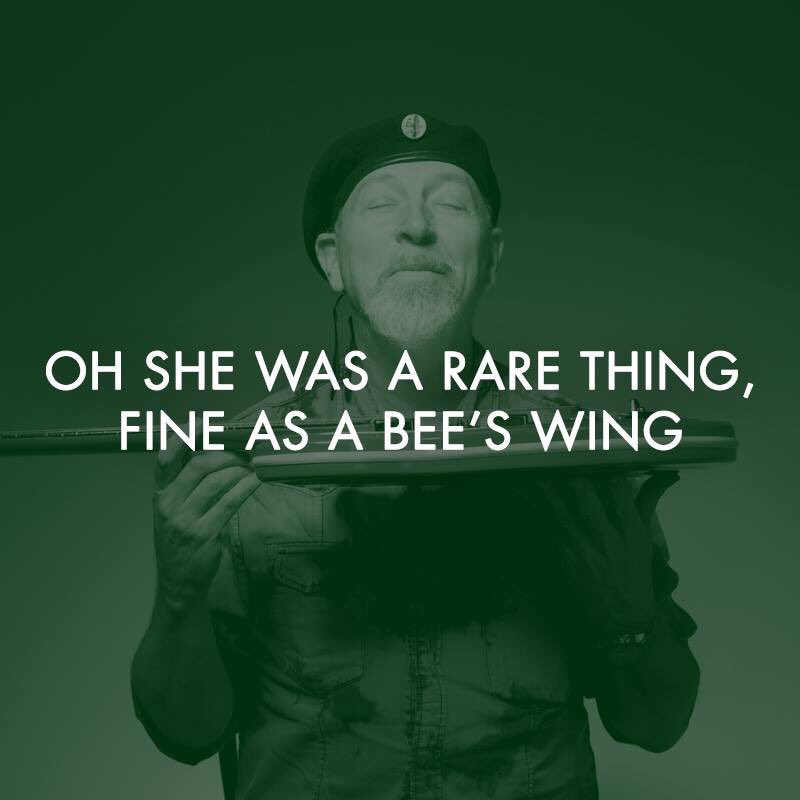 It's a Richard Thompson kind of day... 🎸