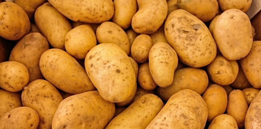RVO_Agrarisch's tweet photo. Zakendoen in de #aardappelsector in #Iran? Ga 28-29 nov mee naar 2-daags seminar in Teheran https://t.co/Fagh5xwZzL @AgroBericht https://t.co/5nXfqYupLr