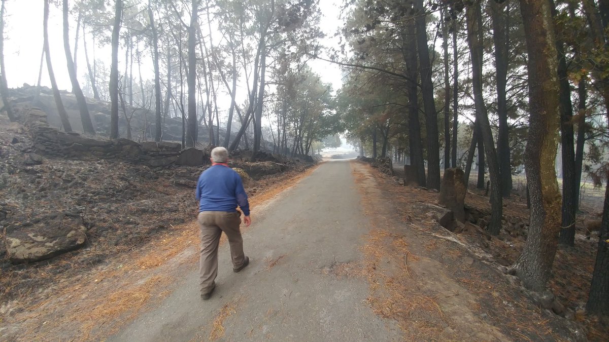 AlbertoDecea's tweet photo. Paseo matinal para ver como quedou o monte tralo lume #ArdeGalicia #concellodecea https://t.co/AmzC7tcrHO