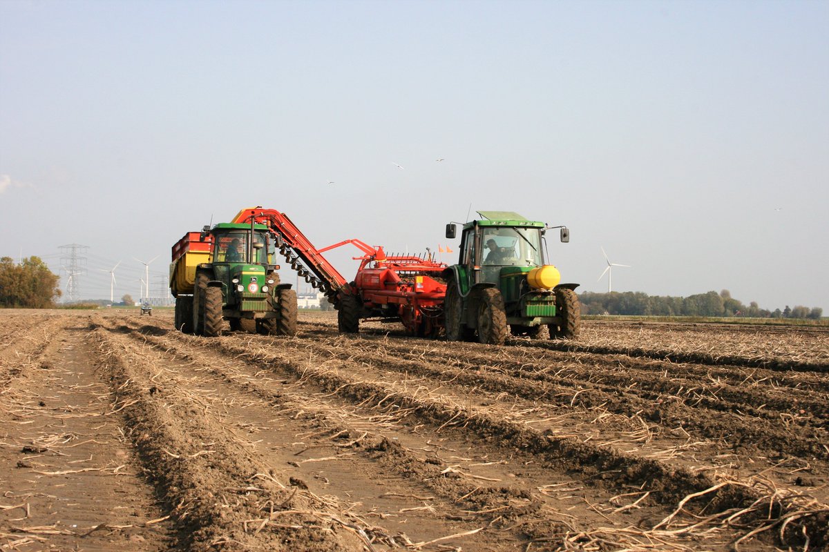 wiersemapiepers's tweet photo. De laatste aardappelen worden gerooid! #aardappeloogst2017 https://t.co/uTcxxUdEPk