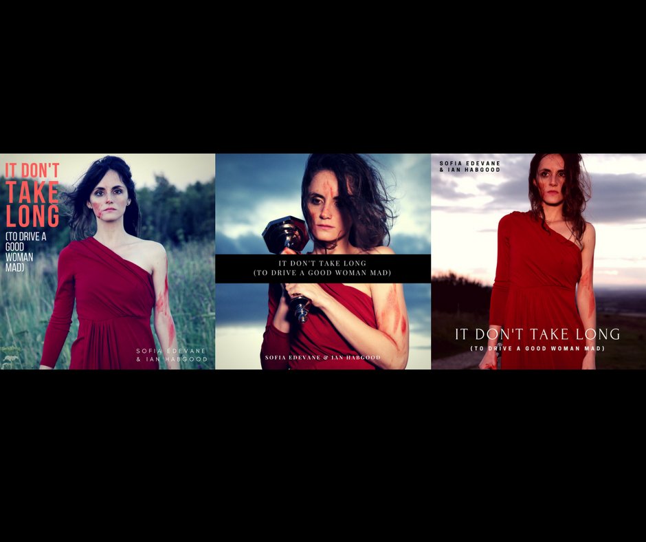 sofiaedevane's tweet image. We tried a few cover designs before settling for the final one. Presenting the contenders! What do you think? @ianhabgood