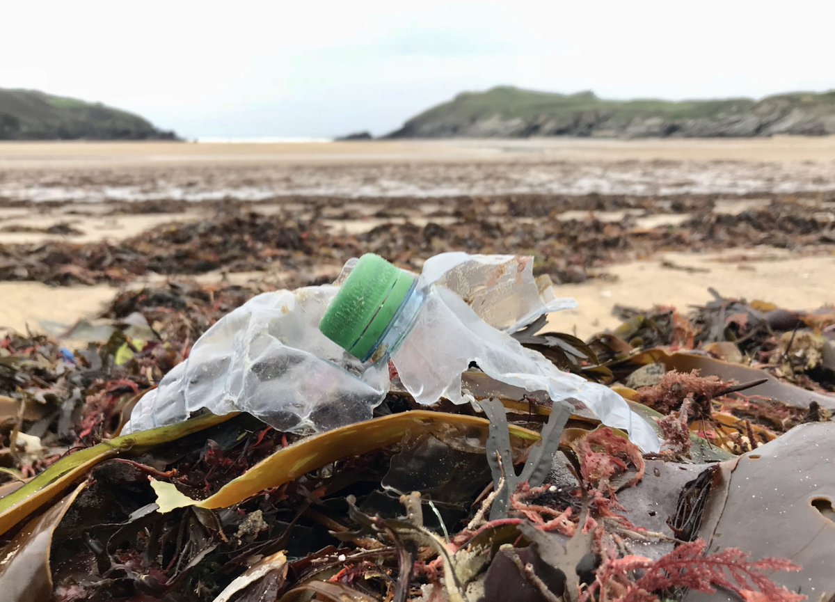 Newquaybeach's tweet image. We picked up 783 plastic bottles and fragments from one Cornish cove last week. All washed up from the ocean floor with the seaweed😐