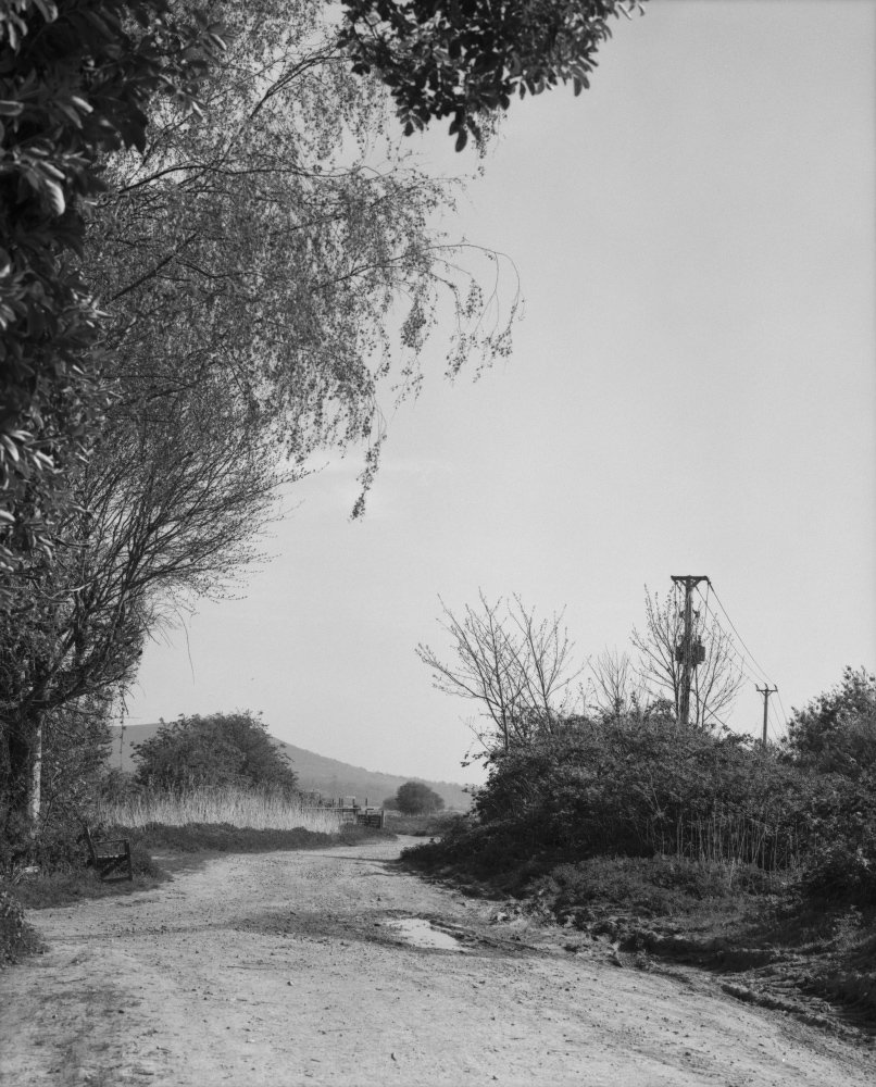 Lie_of_the_Land's tweet photo. Annalaura Palma's "Virginia's Path", is showing as part of @TownerGallery Cafe Projects until January. #virginiawoolf #townergallery https://t.co/w3pWmMXNLh