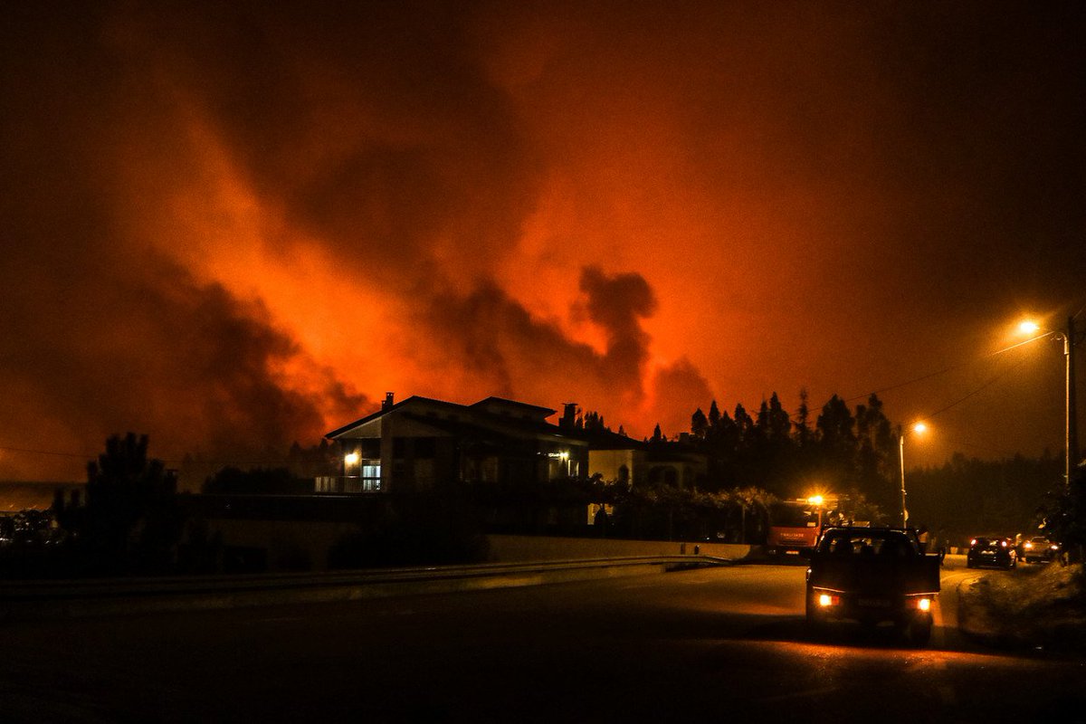 lightvvod's tweet photo. At least 31 died, houses burned, animals killed by fire, forests destroyed, ... This is Portugal right now. We need help.
#PrayForPortugal https://t.co/yRxTxmLfLw