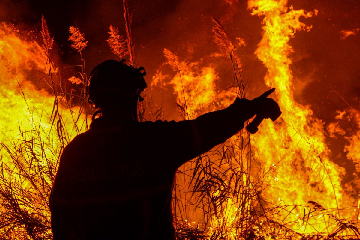lightvvod's tweet photo. At least 31 died, houses burned, animals killed by fire, forests destroyed, ... This is Portugal right now. We need help.
#PrayForPortugal https://t.co/yRxTxmLfLw
