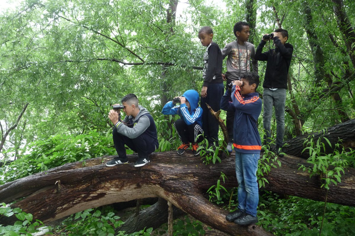 duurzaam010's tweet image. Weekendtip: Struintocht op Eiland van Brienenoord. Ontdek de getijdennatuur op dit ruige eiland. #Life_Programme  ark.eu/agenda/2017/he…
