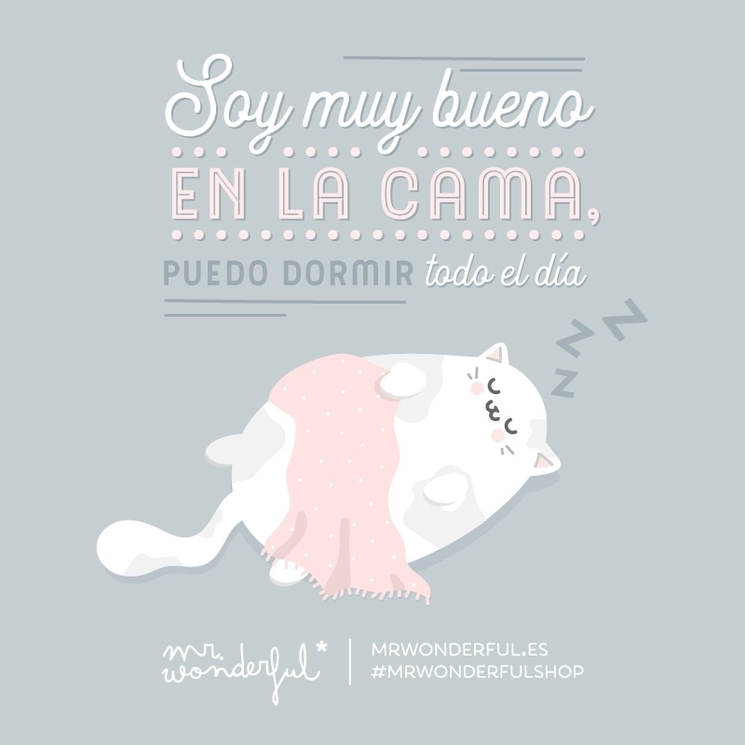 mrwonderful_'s tweet photo. No hay quien me gane con la cama por delante 😴 #mrwonderfulshop #felizlunes https://t.co/X95JBozuzz