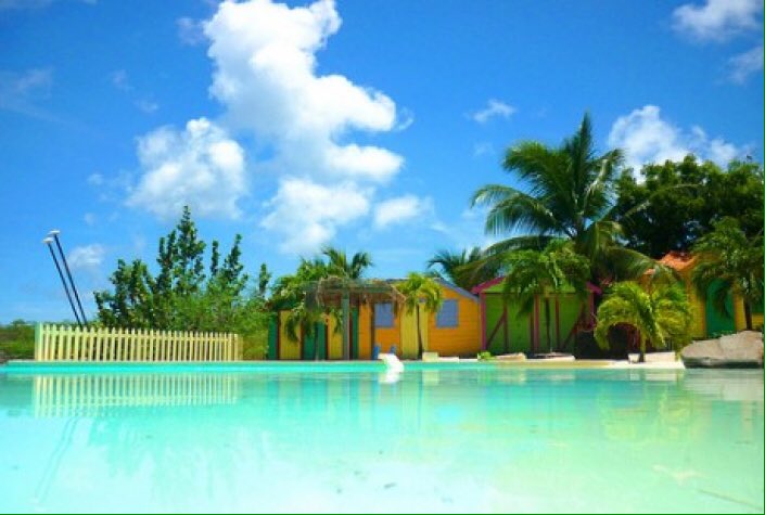 IntimateHoliday tweet picture