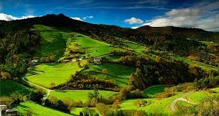 VivePicos's tweet photo. Así nos gusta #asturias #galicia. No bajo esta nube de humo y quemando 
:( #ArdeAsturias #ArdeGalicia @TDAsturias 
foto:turismo de Asturias https://t.co/yKpWaghyAv