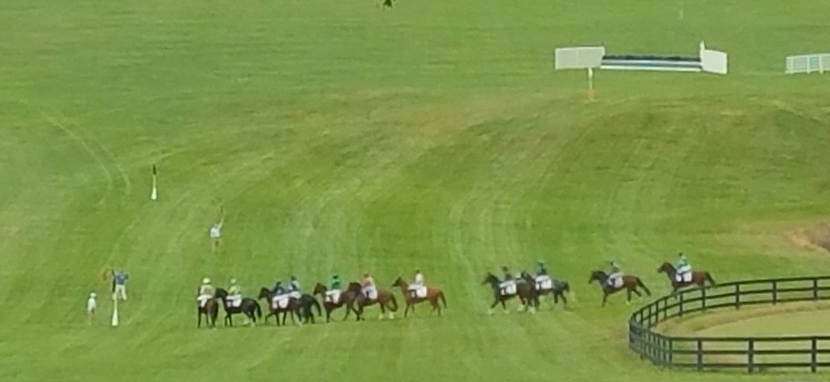 PPerfectCaterer's tweet photo. Perfect weather and beautiful venue at #virginiafallraces with great clients enjoying the races an delicious #catering https://t.co/wNZlSXps7N