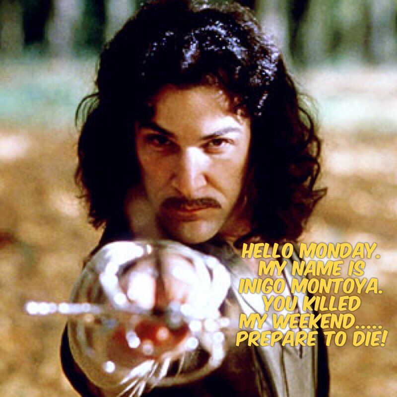 TheBeMoreLife's tweet photo. It's a new week. Time to slay! #princessbride #theprincessbride #inigomontoya #moviemotivation #moviemonday #slaymore #bemore #thebemorelife https://t.co/kwzYyDLciX