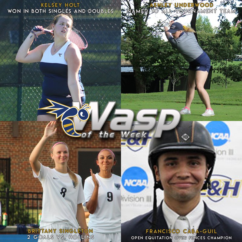 Who's it gonna be? Vote for #WaspoftheWeek!