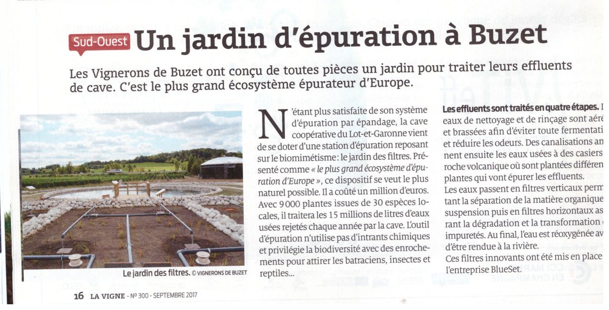 BlueSETsolution's tweet photo. Le Biomimétisme au service du traitement des effluents vinicoles! https://t.co/IXQ387GDDI