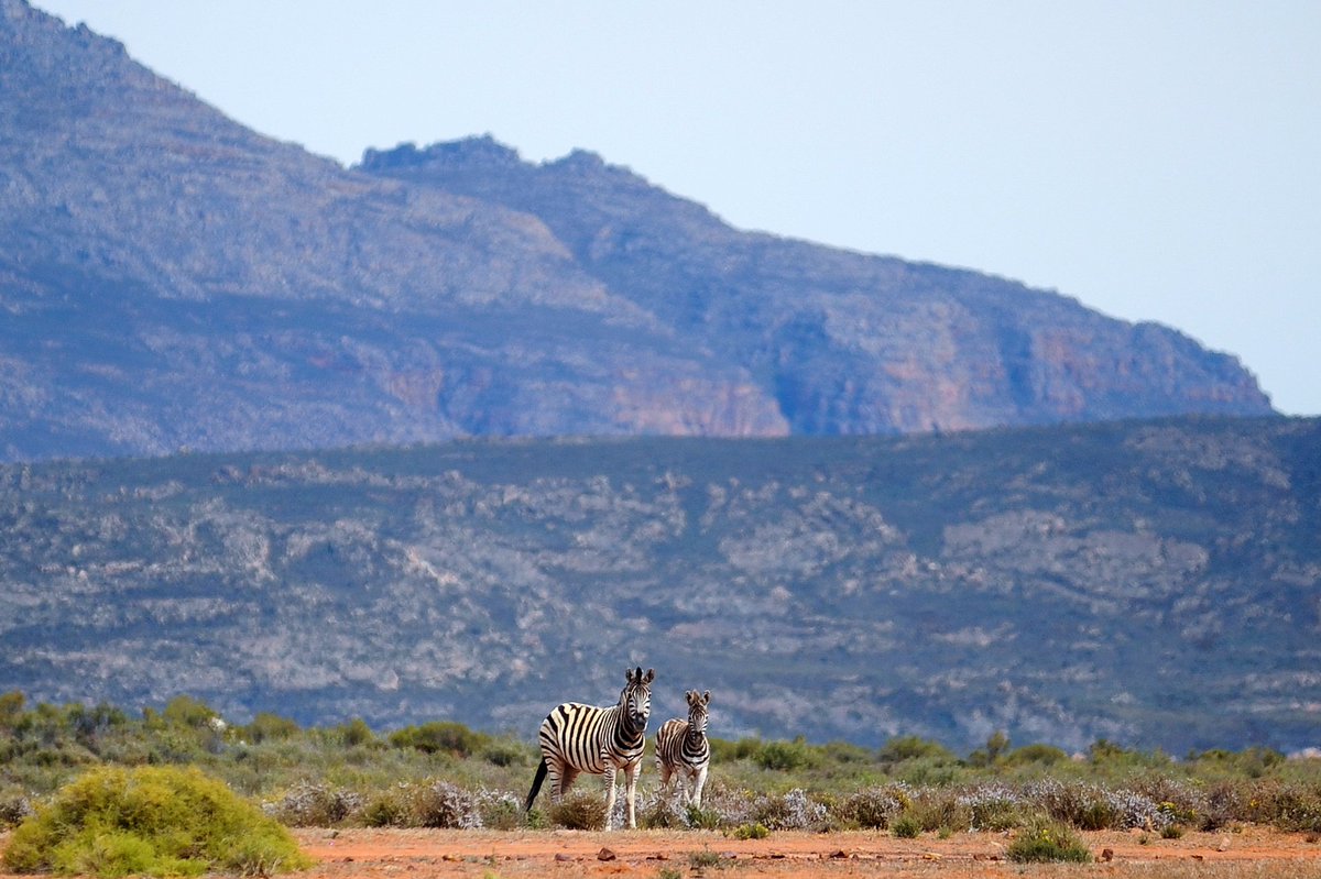 #Respect&amp;Protect the wildlife.