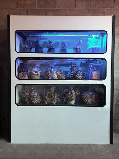 SEEDSandCHIPS's tweet photo. A new #UrbanFarming startup wants to grow mushrooms in restaurants, for all the diners to see
https://t.co/ZeDxI1fyqJ
#UrbanAg #AgTech https://t.co/B7AlwrDnQz