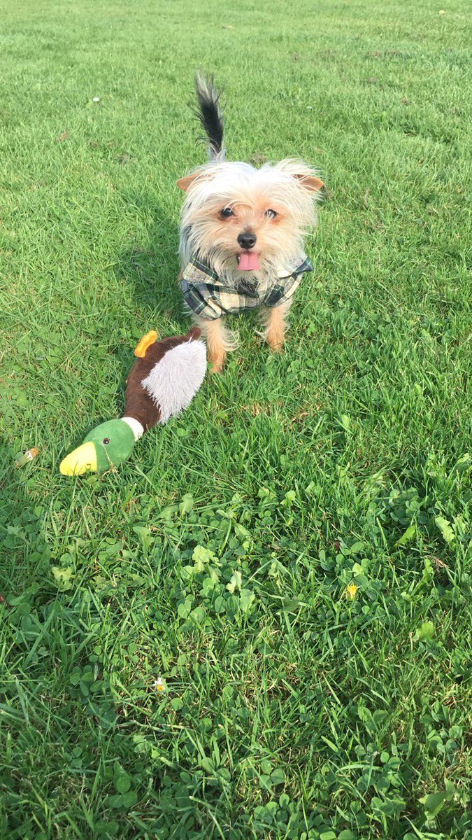 Lilsiee's tweet photo. He loves his duck https://t.co/zmPfP2LQXM