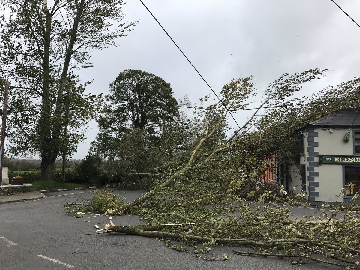 Daragh Fitzpatrick tweet media