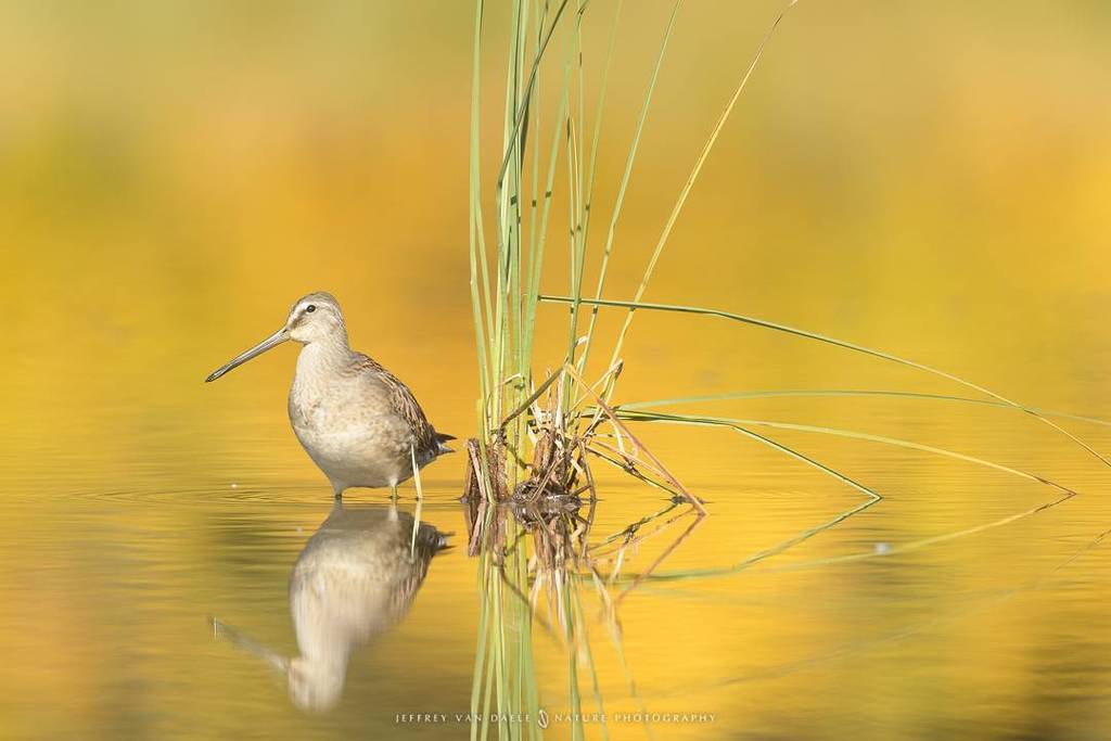 A first result of our scouting trip to Canada. We didn't always shoot landscapes :) #starlingreizen #starlingtours… ift.tt/2gfuRHB