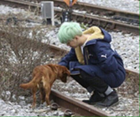 sugaupdates's tweet photo. SUGA x Puppies https://t.co/DwR6iukRH9