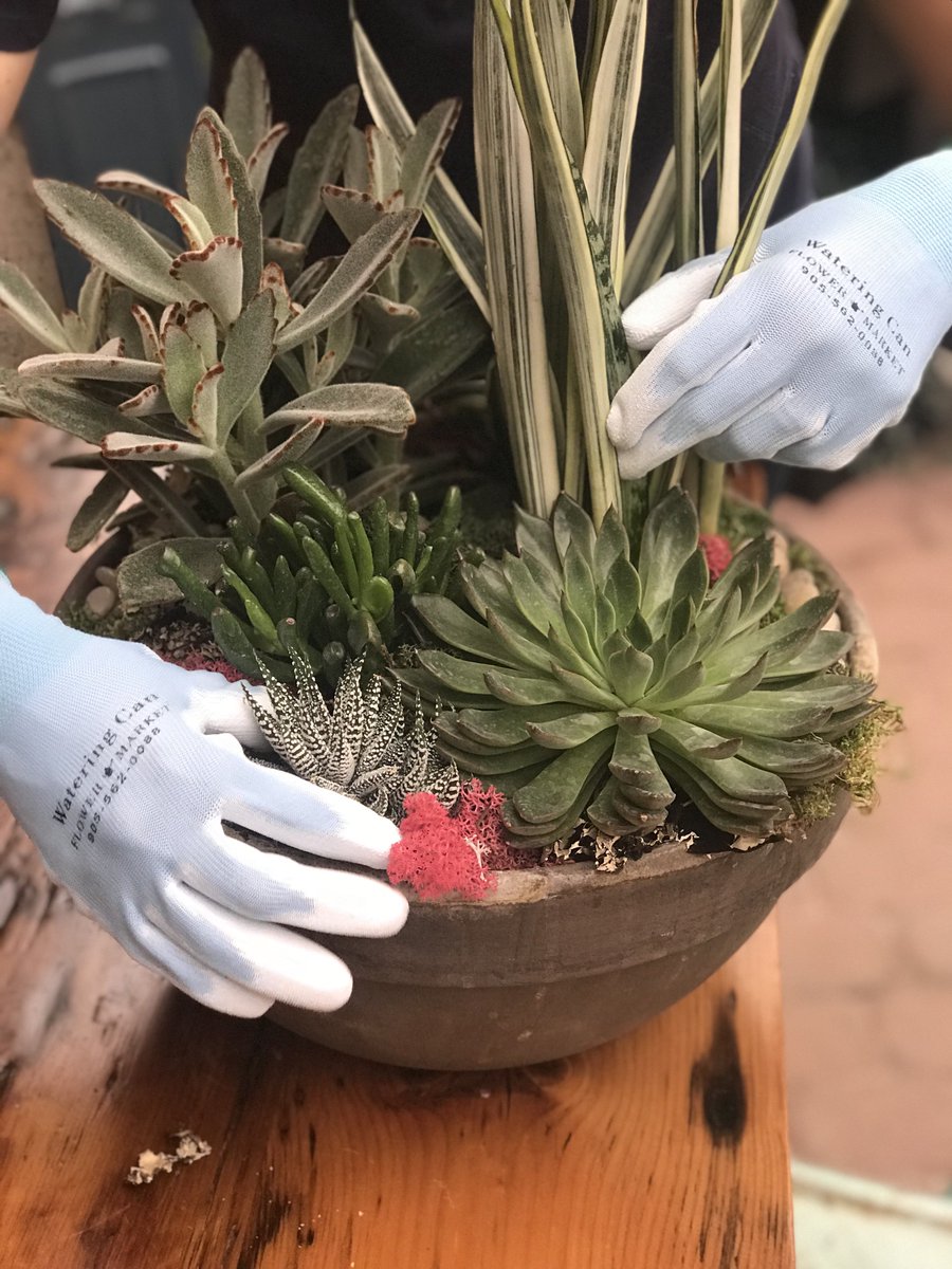 thewateringcan's tweet photo. We are so excited to announce we will now have complimentary gloves when you attend a workshop! https://t.co/waQADjAZll